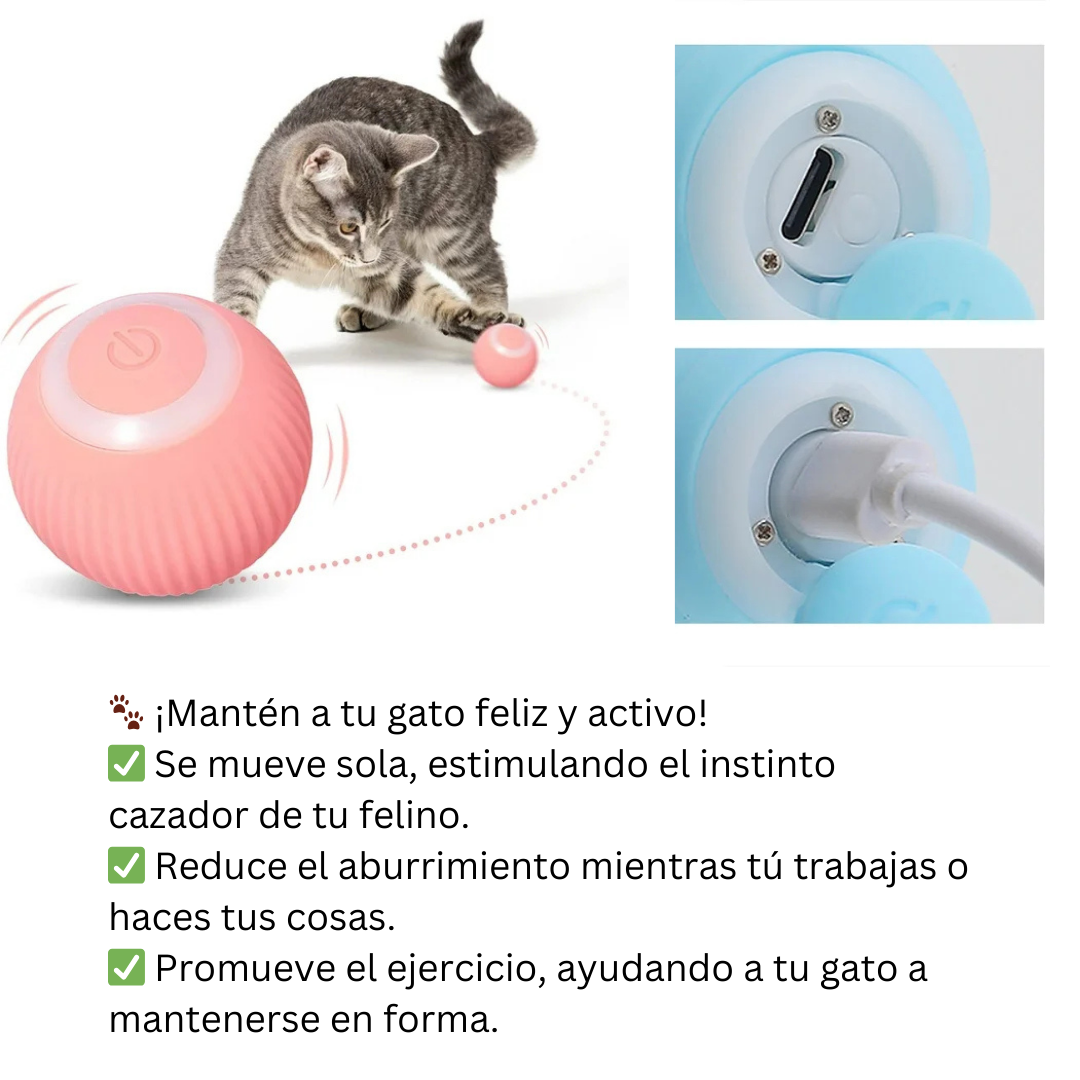 Pelota inteligente para Gatos